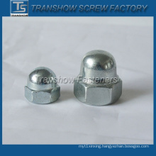 Galvanized Steel Hex Dome Head Cap Nut (DIN1587)